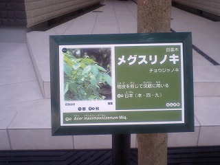 街角祐天寺3−1