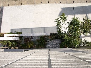 植栽1−2