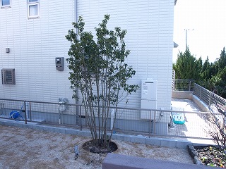 植栽2−3