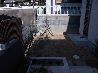 植栽3−1
