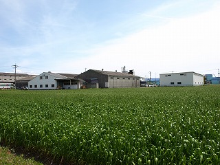 広松木工2