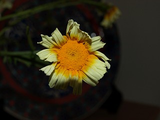 畑1−2
