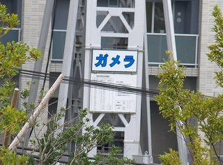 ガメラ