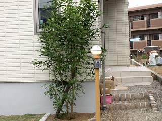 街角オープン1-1