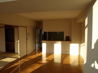 引越し-3